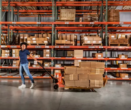 Toyota Hand Pallet Jack Truck