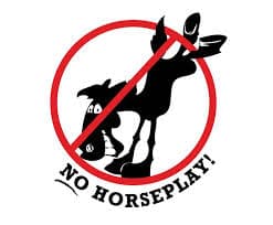 Safety No Horseplay